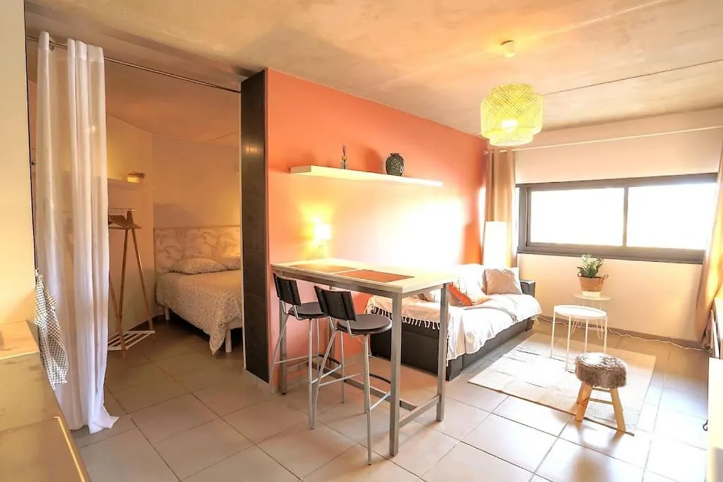 Le Saint Roch 1 - Ac Clim - Wifi - 50M Centre Ville Avignon France