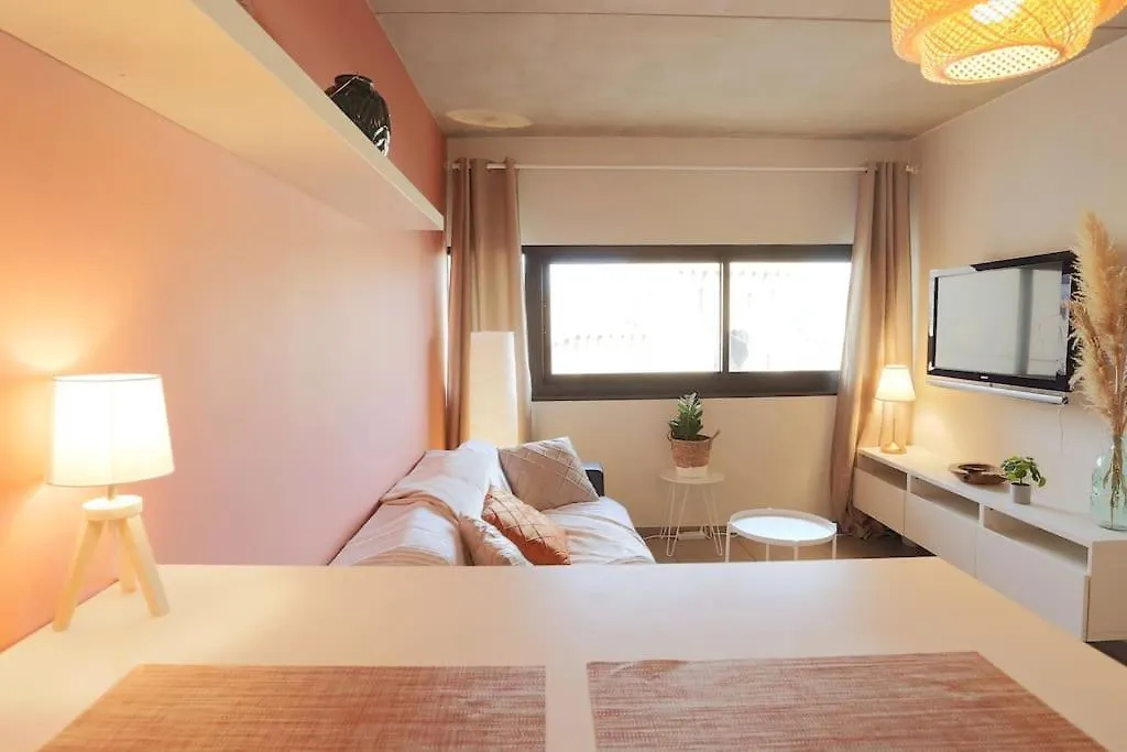 Апартаменты Le Saint Roch 1 - Ac Clim - Wifi - 50M Centre Ville Авиньон